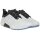 Ecco Biom H4 Goretex Golfschuhe