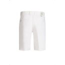Alberto Earnie FX4 Dry Cooler Short